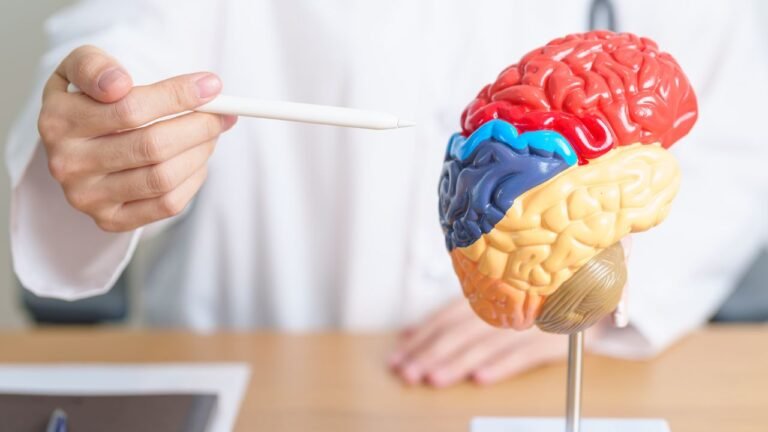 Brain Hemorrhage: Causes, Symptoms, and Treatment Options